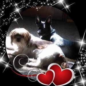 Meet your Posher, Sheena